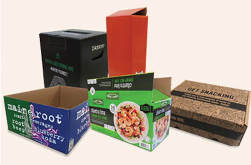 Food Packaging Solution 1